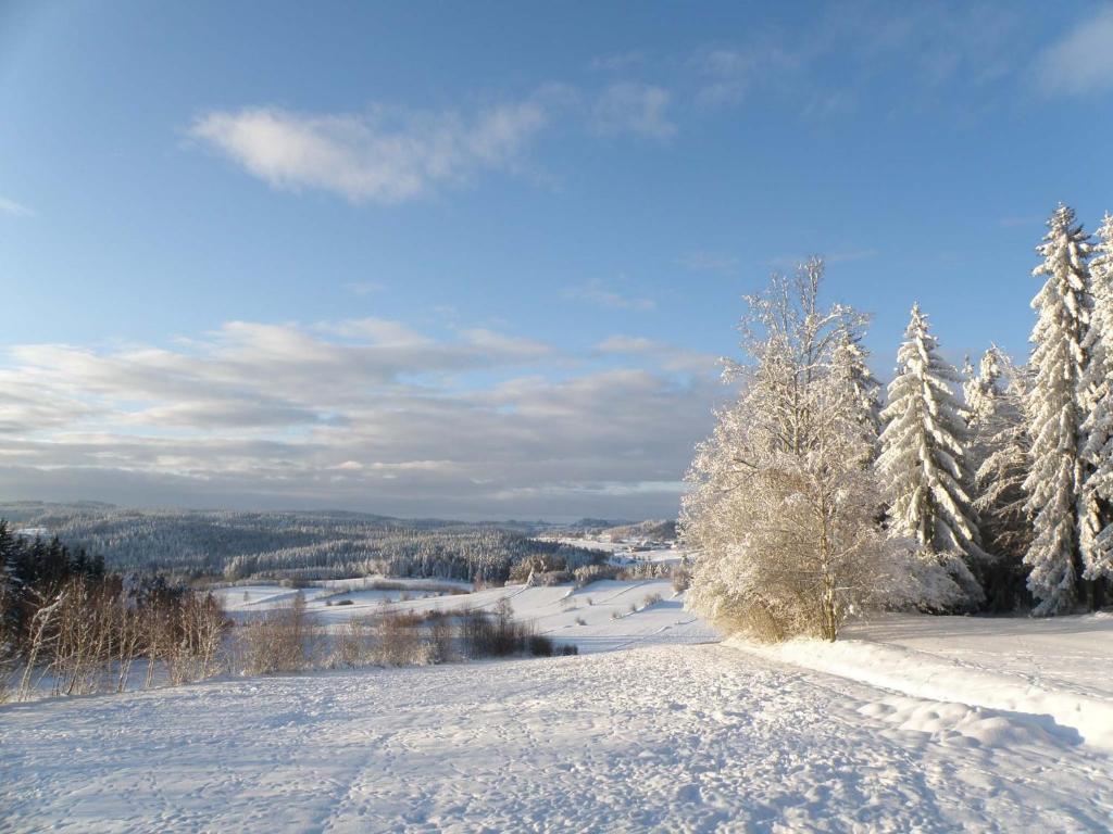 Prinzenhof Hotel Gross Gerungs ภายนอก รูปภาพ